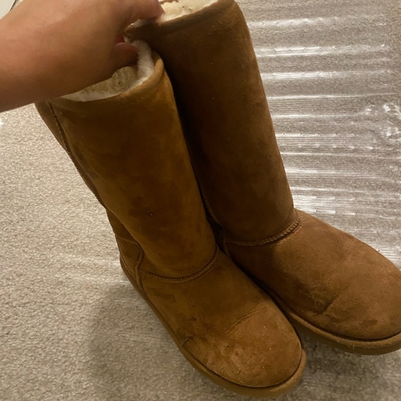 Ugg Classic Tall Suede Boots Brown Tall Uggs